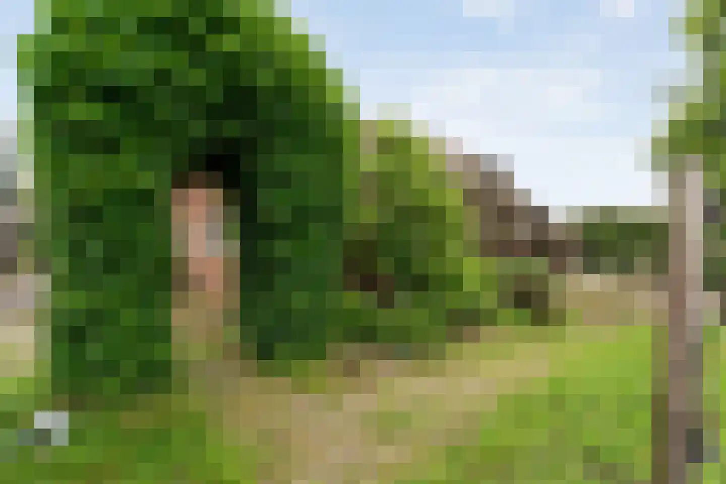 Rieweg 1 Wachtum thumbnail 72