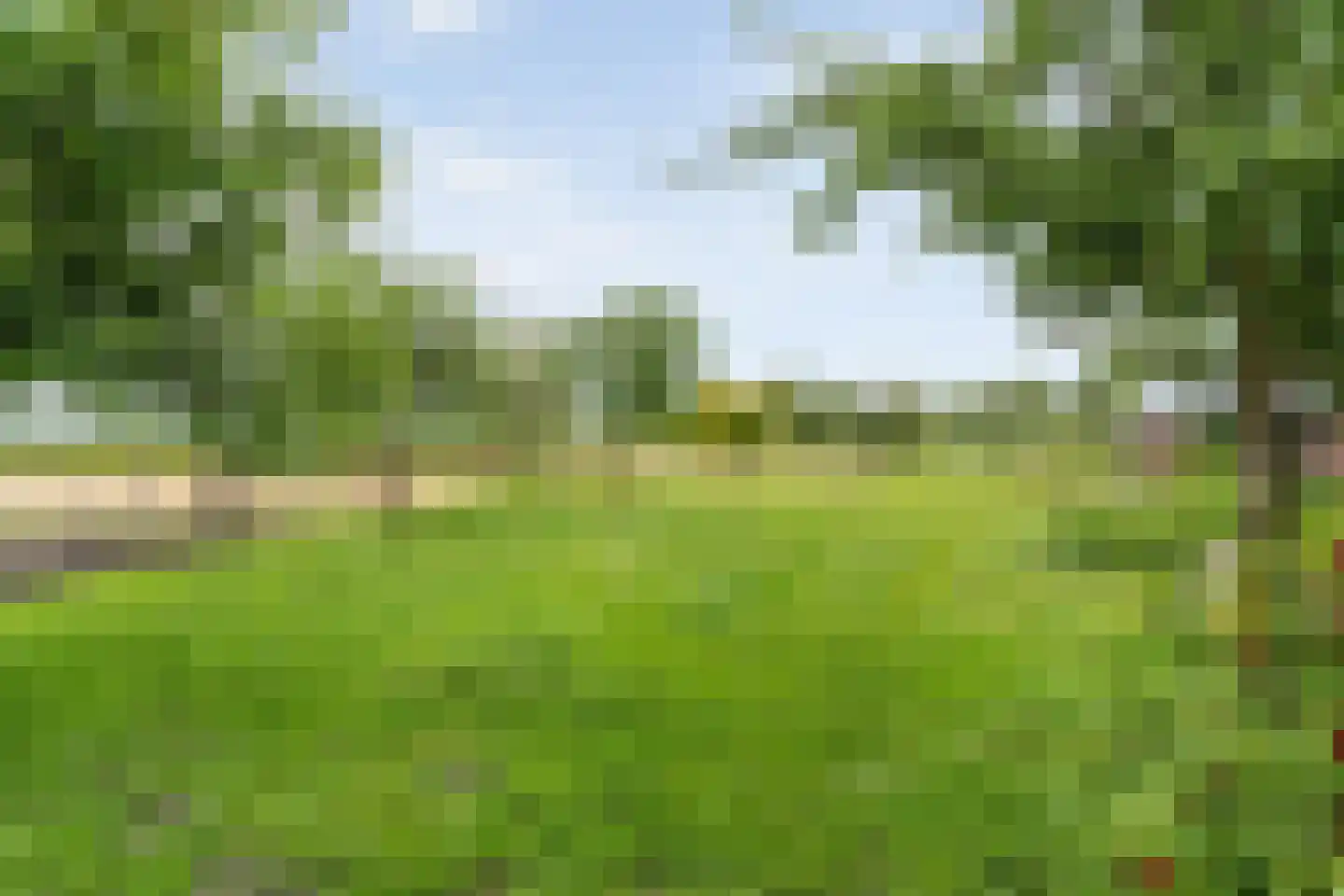 Rieweg 1 Wachtum thumbnail 73