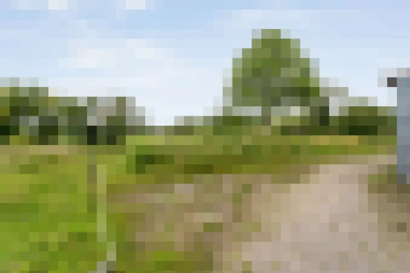 Rieweg 1 Wachtum thumbnail 75
