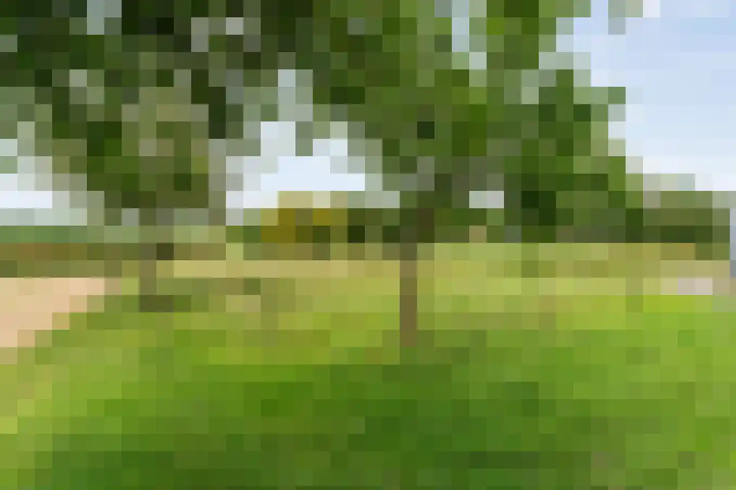Rieweg 1 Wachtum thumbnail 76