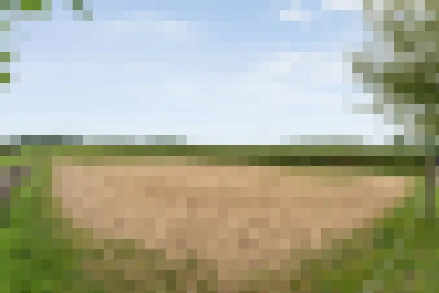 Rieweg 1 Wachtum thumbnail 77