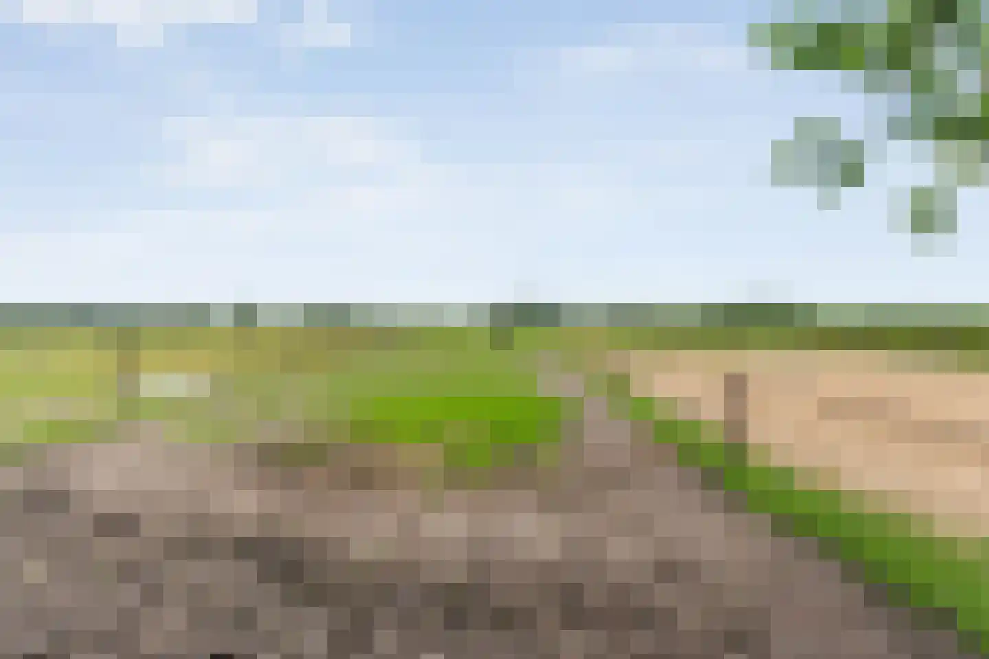 Rieweg 1 Wachtum thumbnail 78