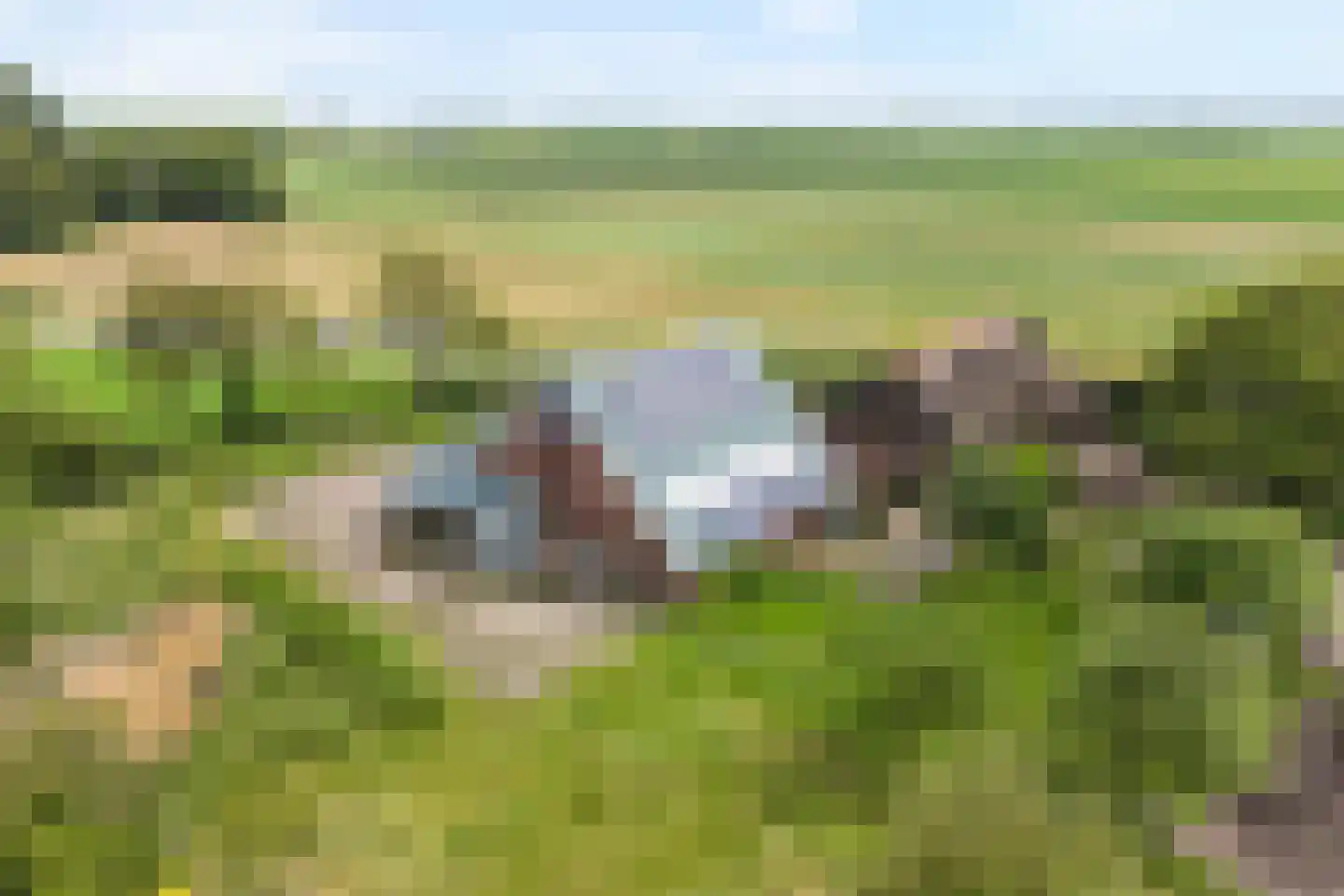 Rieweg 1 Wachtum thumbnail 9