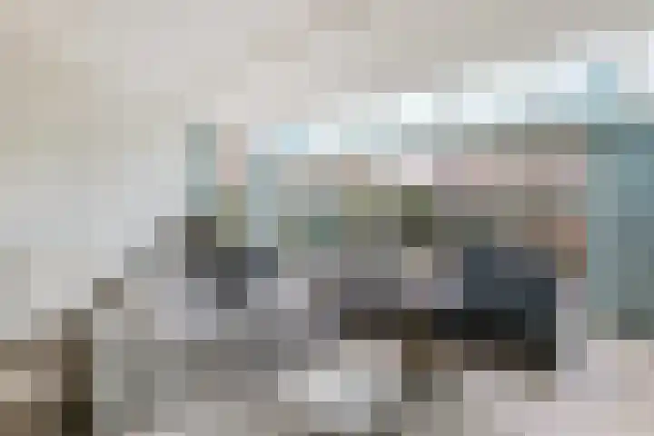 Riezebezem 1 Hooglanderveen thumbnail 10