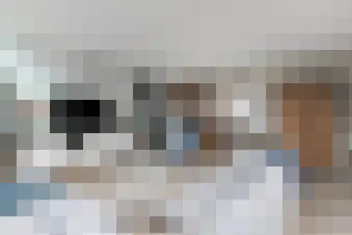 Riezebezem 1 Hooglanderveen thumbnail 11