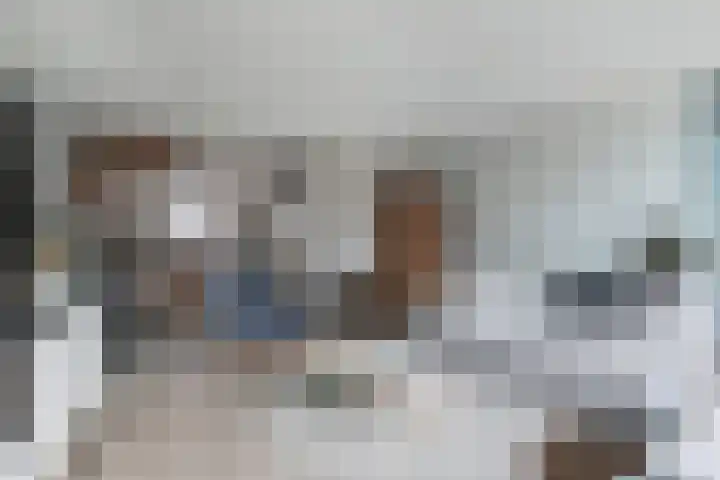 Riezebezem 1 Hooglanderveen thumbnail 12