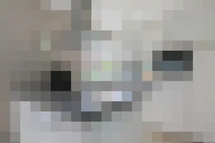 Riezebezem 1 Hooglanderveen thumbnail 14