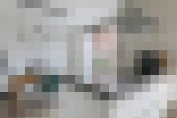 Riezebezem 1 Hooglanderveen thumbnail 15