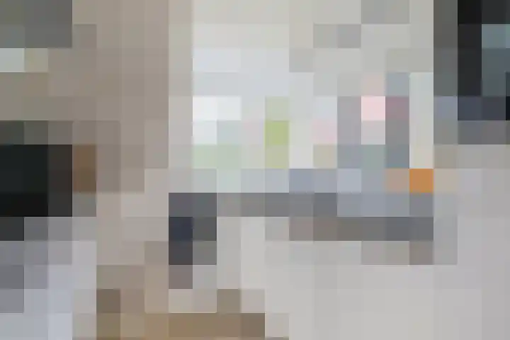 Riezebezem 1 Hooglanderveen thumbnail 16