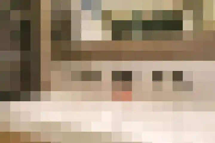 Riezebezem 1 Hooglanderveen thumbnail 24