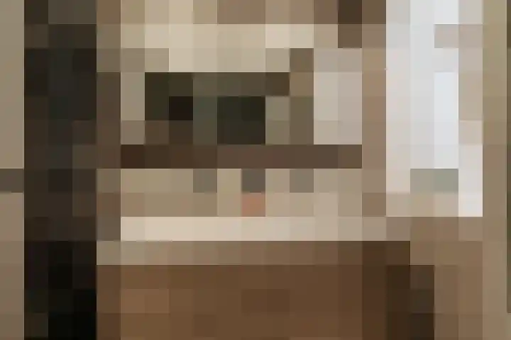 Riezebezem 1 Hooglanderveen thumbnail 25