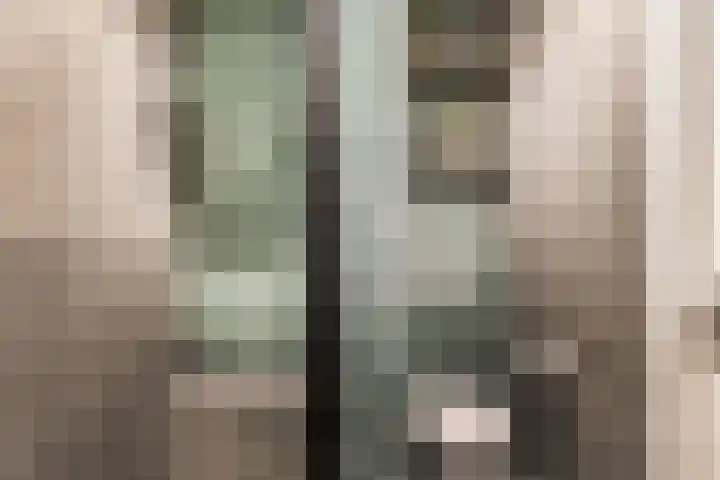 Riezebezem 1 Hooglanderveen thumbnail 26