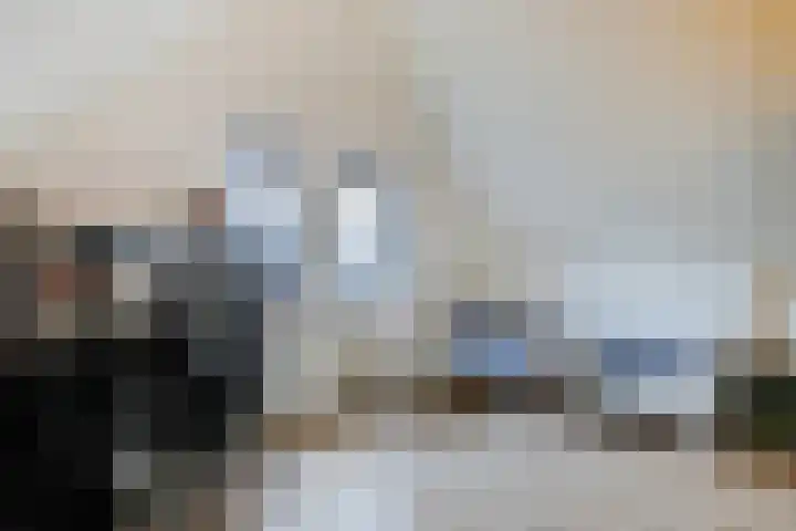 Riezebezem 1 Hooglanderveen thumbnail 32
