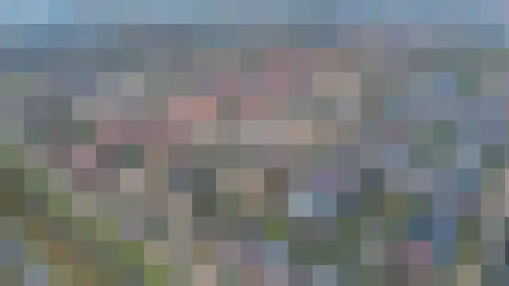 Riezebezem 1 Hooglanderveen thumbnail 41