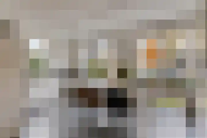 Riezebezem 2 Hooglanderveen thumbnail 15