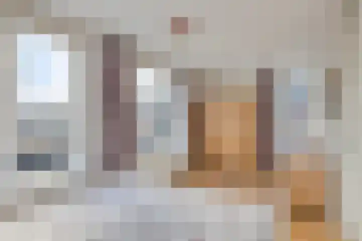 Riezebezem 2 Hooglanderveen thumbnail 19