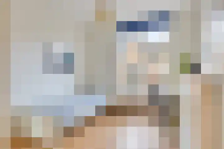 Riezebezem 2 Hooglanderveen thumbnail 20