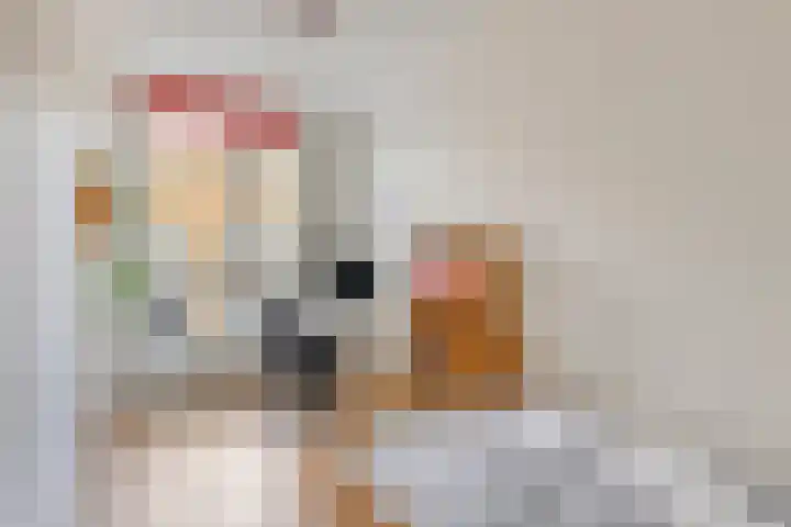 Riezebezem 2 Hooglanderveen thumbnail 22