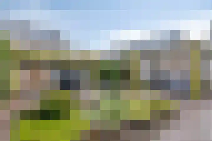 Riezebezem 2 Hooglanderveen thumbnail 31