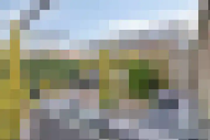 Riezebezem 2 Hooglanderveen thumbnail 32