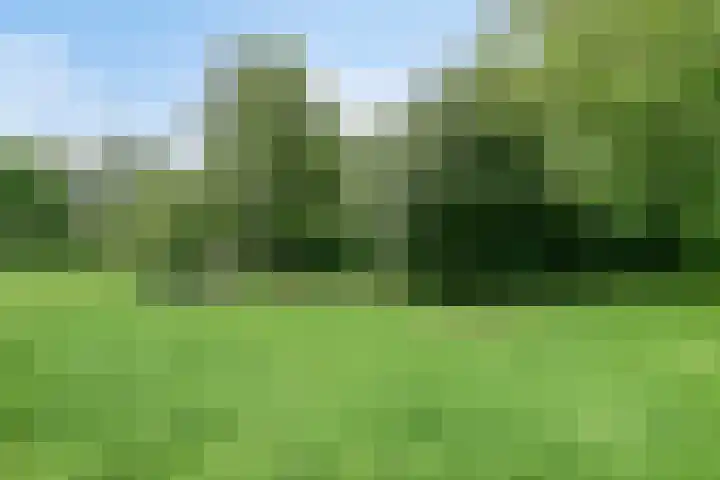Riezebezem 2 Hooglanderveen thumbnail 36
