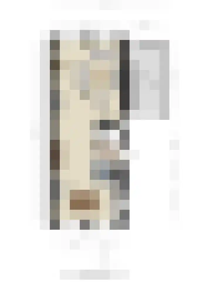 Riezebezem 2 Hooglanderveen thumbnail 37