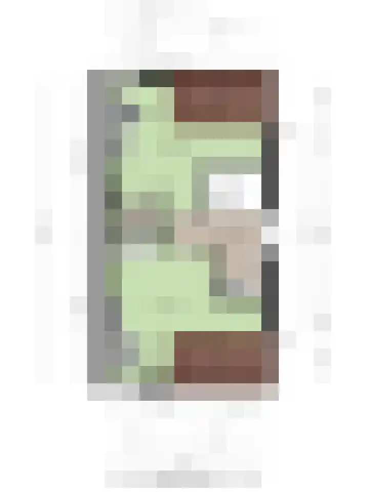 Riezebezem 2 Hooglanderveen thumbnail 39