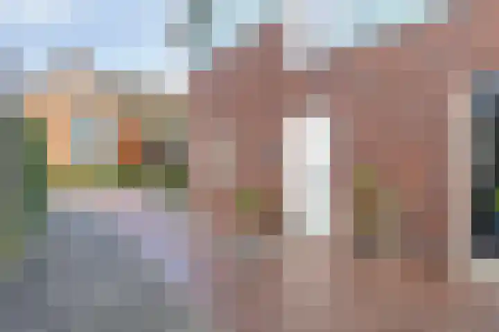 Riezebezem 2 Hooglanderveen thumbnail 8