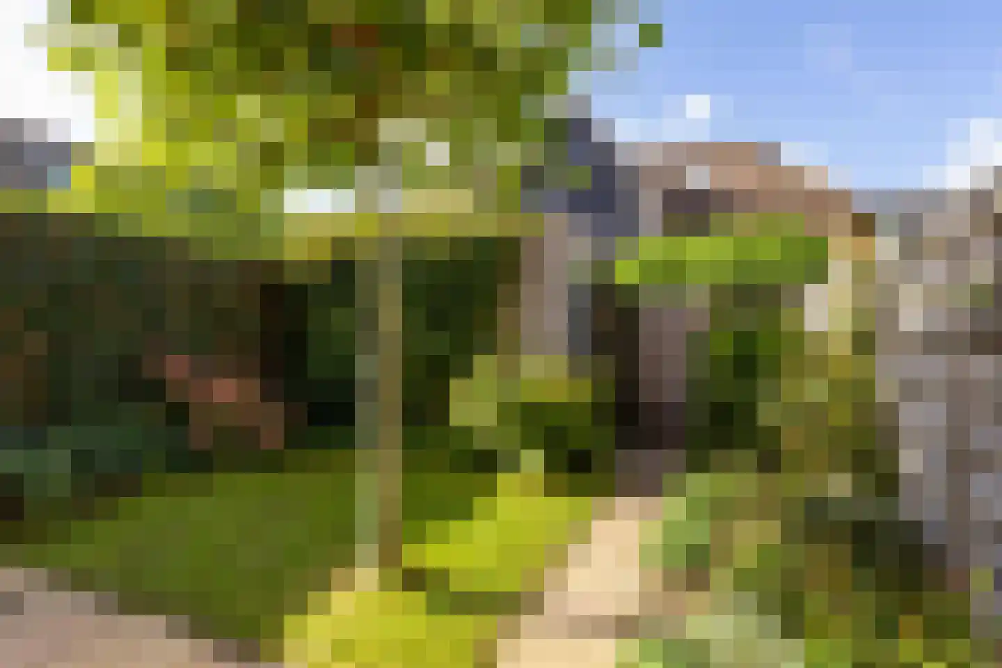 Riezebezem 3 Hooglanderveen thumbnail 19