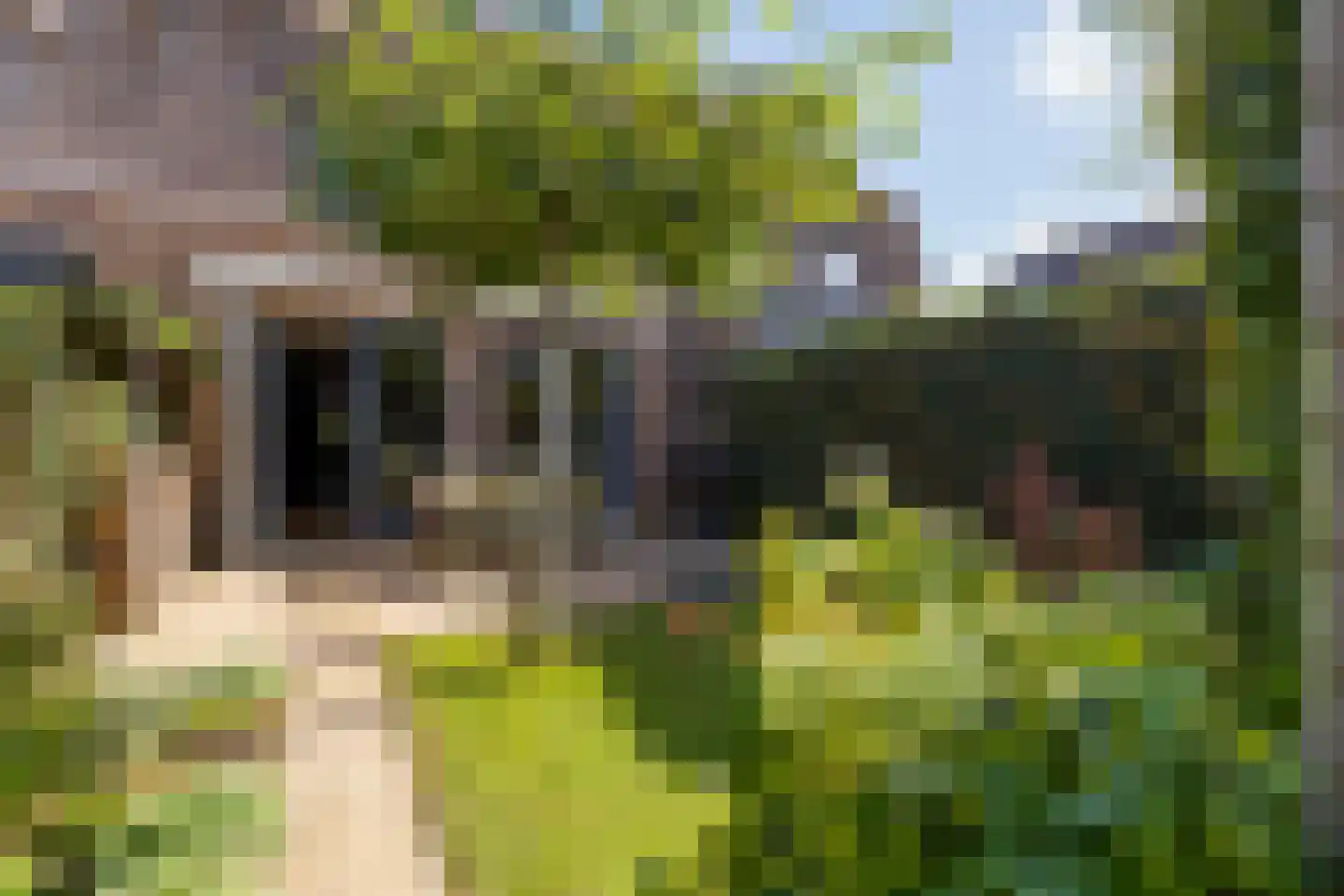 Riezebezem 3 Hooglanderveen thumbnail 21