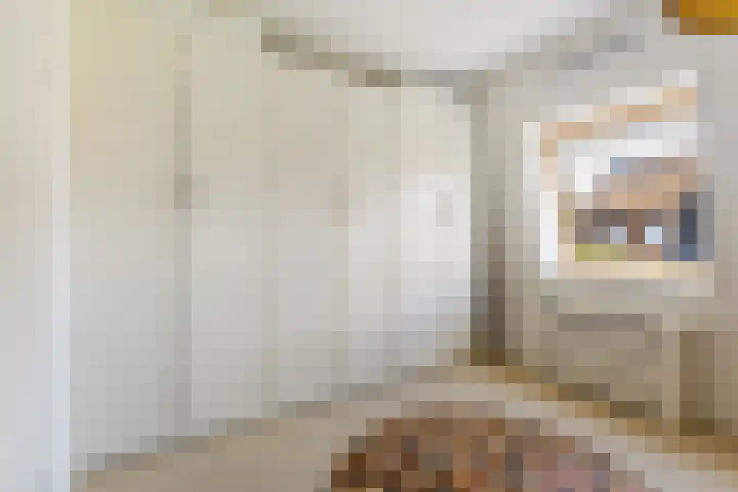 Riezebezem 3 Hooglanderveen thumbnail 23