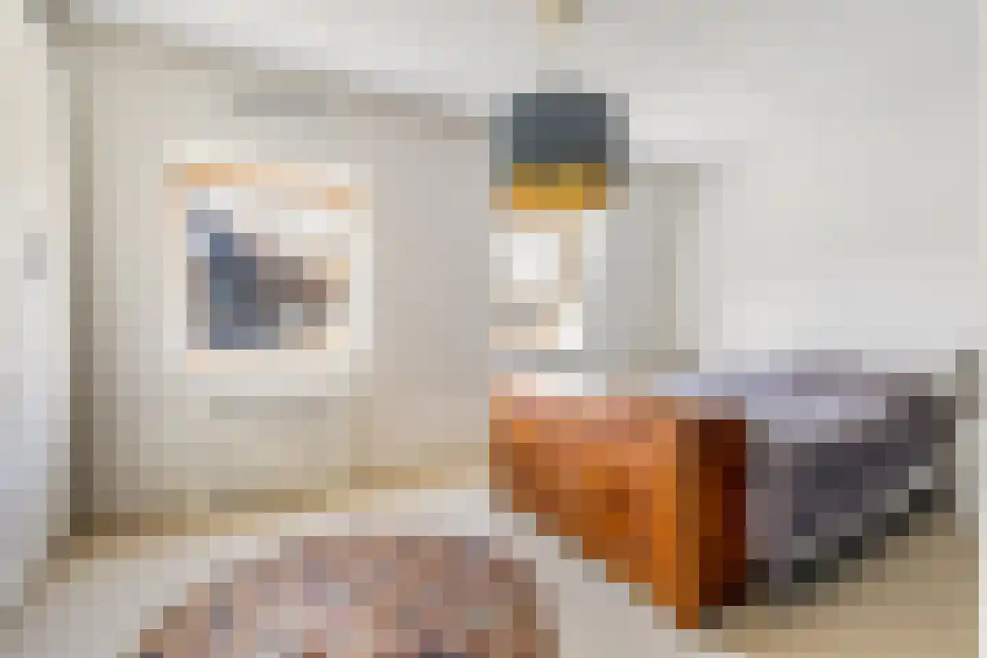 Riezebezem 3 Hooglanderveen thumbnail 24