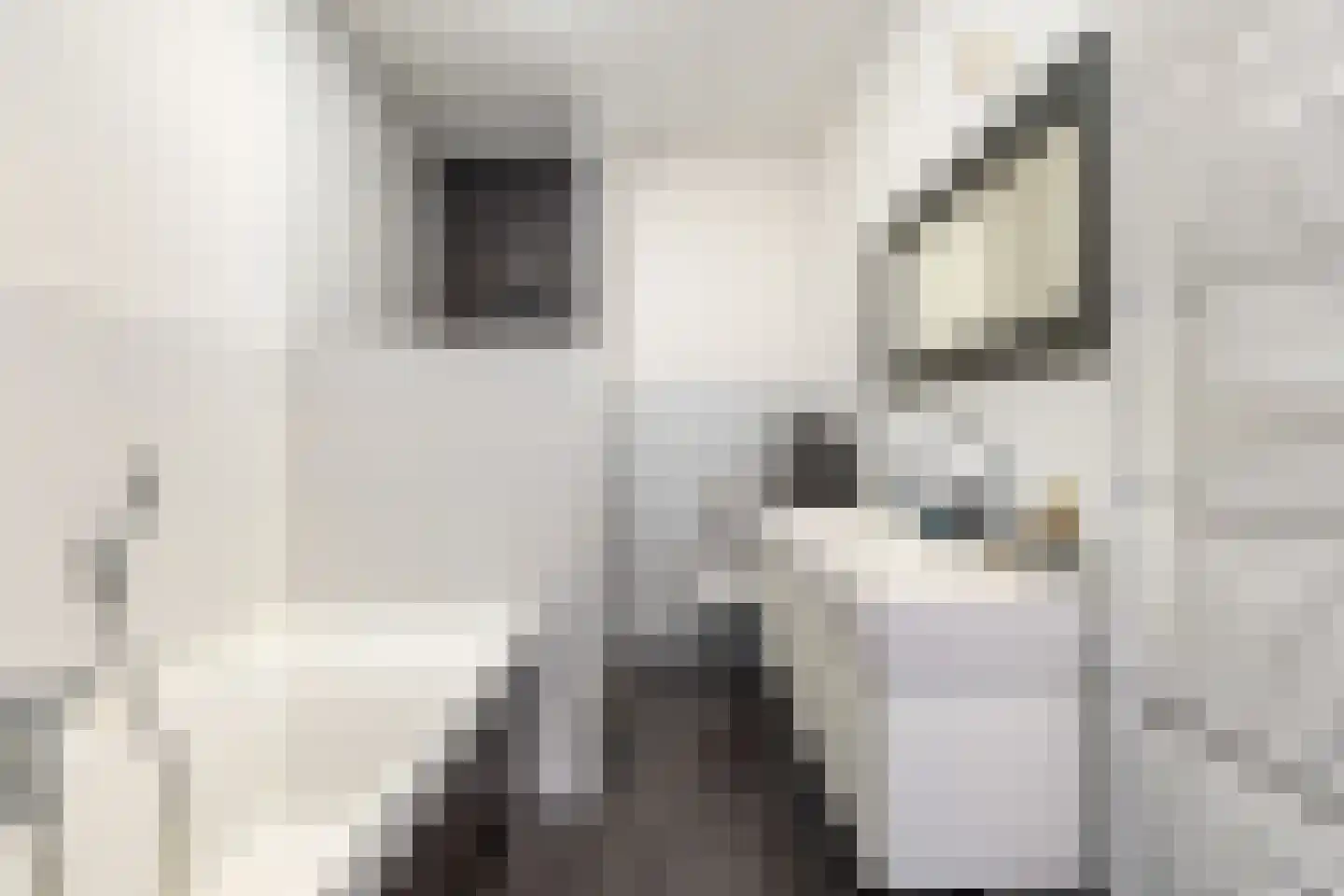 Riezebezem 3 Hooglanderveen thumbnail 27