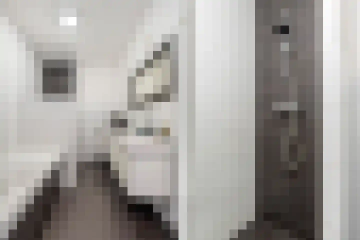 Riezebezem 3 Hooglanderveen thumbnail 28