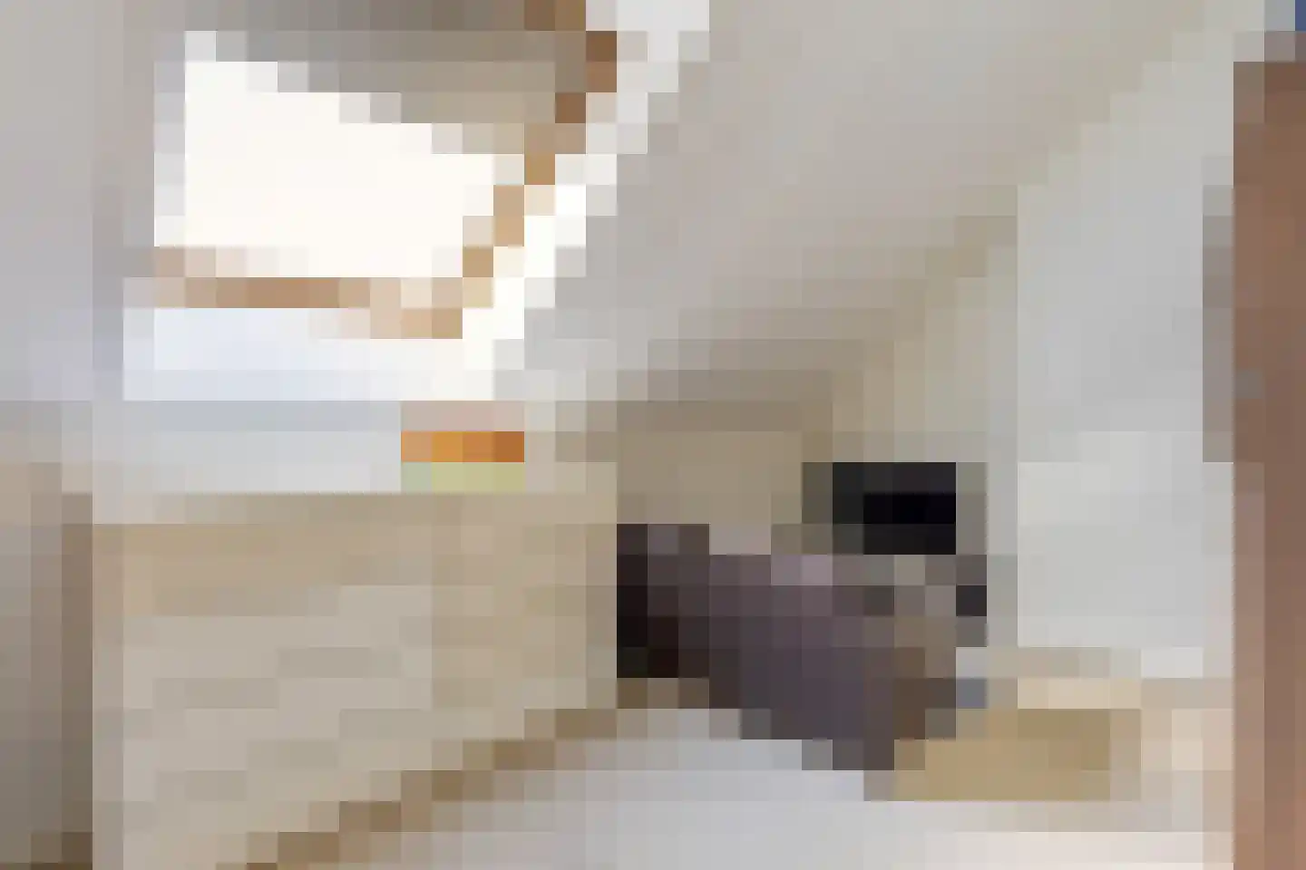 Riezebezem 3 Hooglanderveen thumbnail 31