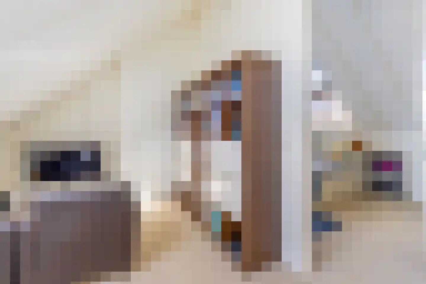 Riezebezem 3 Hooglanderveen thumbnail 32
