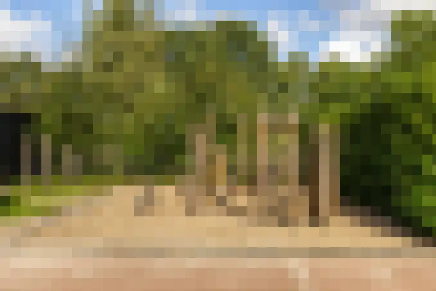 Riezebezem 3 Hooglanderveen thumbnail 34