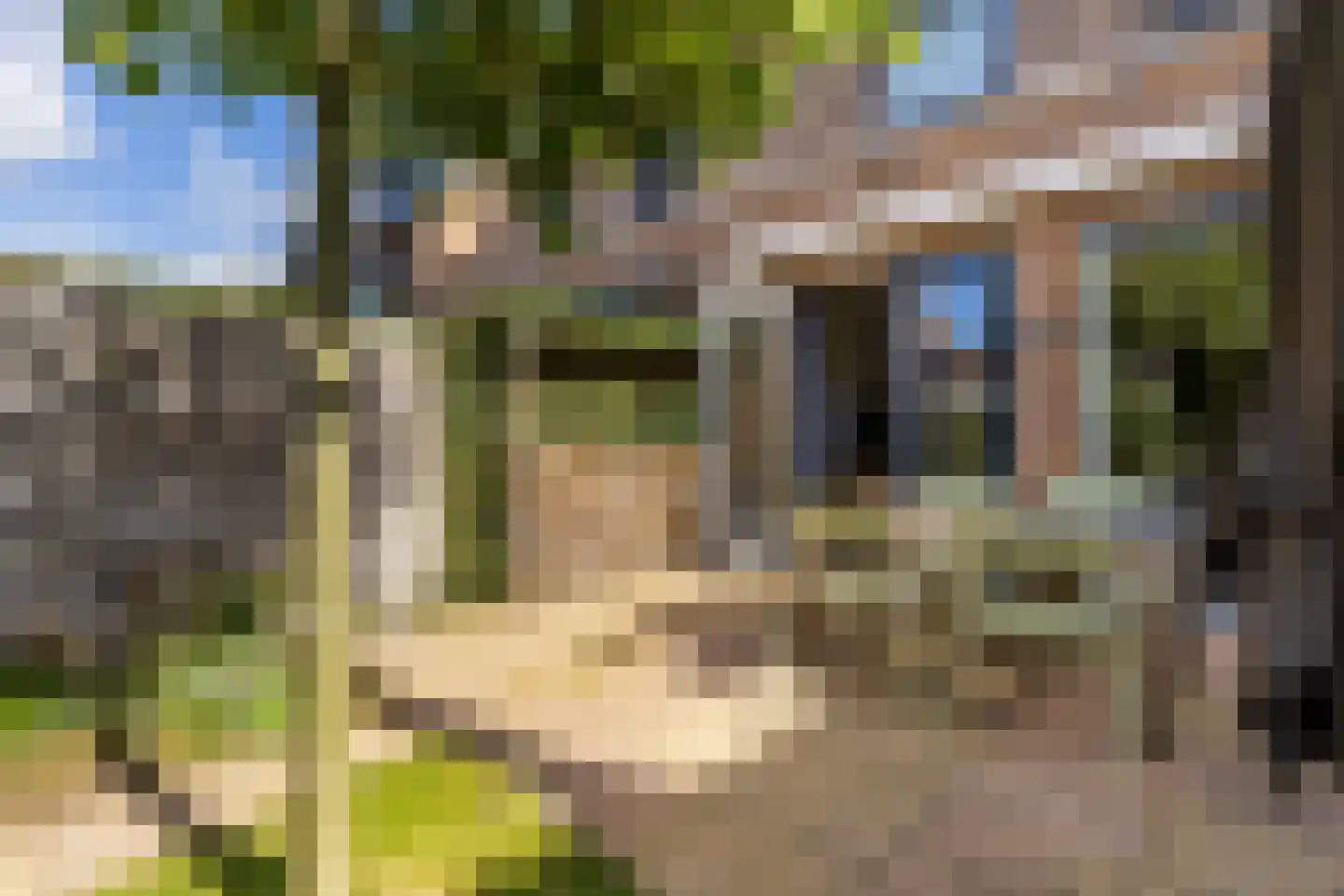 Riezebezem 3 Hooglanderveen thumbnail 6