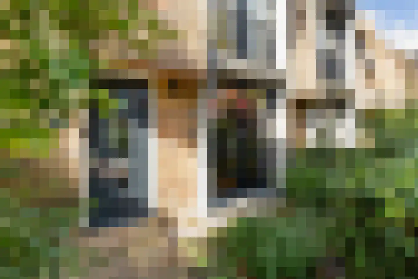 Riezebezem 3 Hooglanderveen thumbnail 7