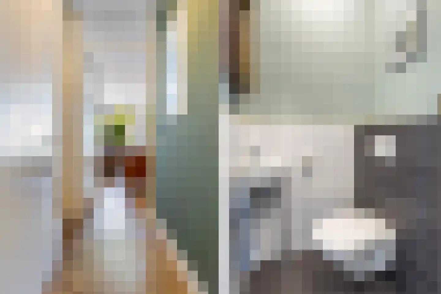 Riezebezem 3 Hooglanderveen thumbnail 9