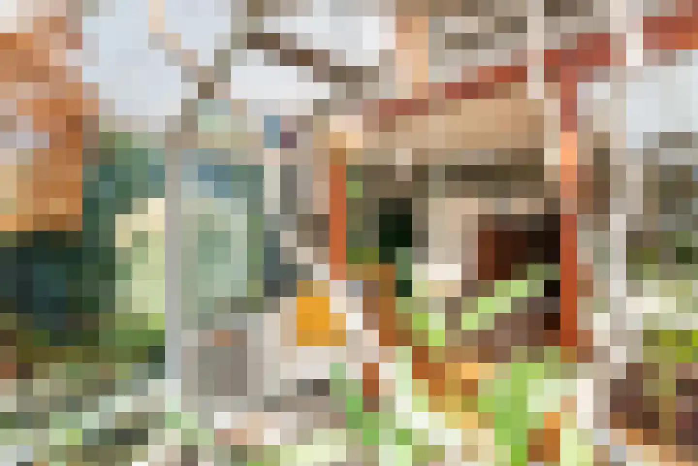 Riezegraaf 22 Ulft thumbnail 18