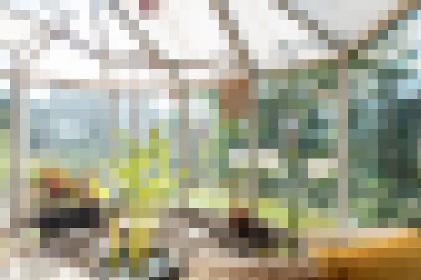Riezegraaf 22 Ulft thumbnail 19
