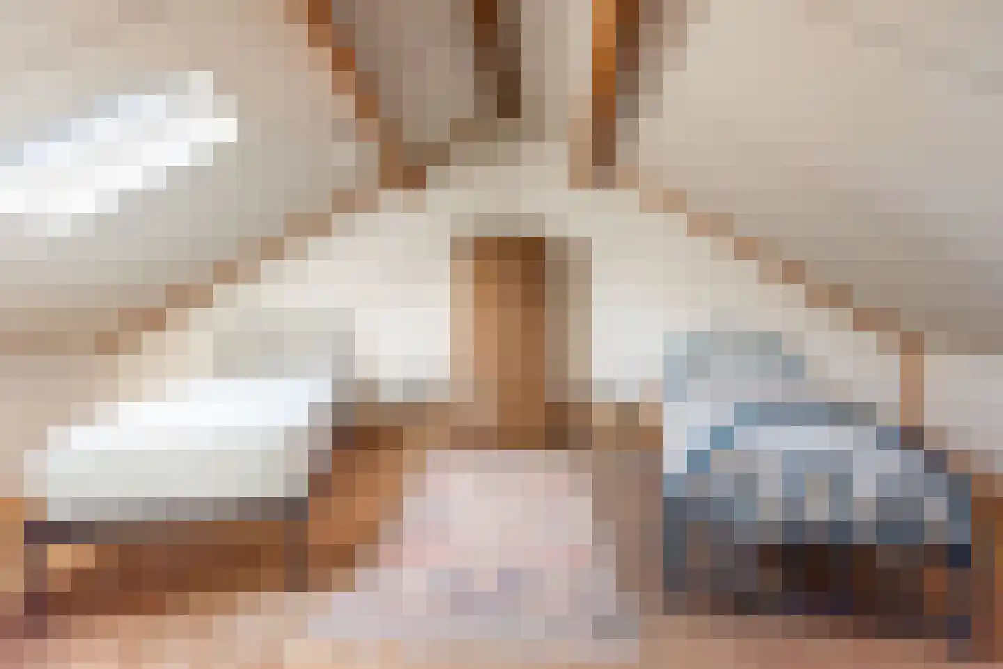 Riezegraaf 22 Ulft thumbnail 28