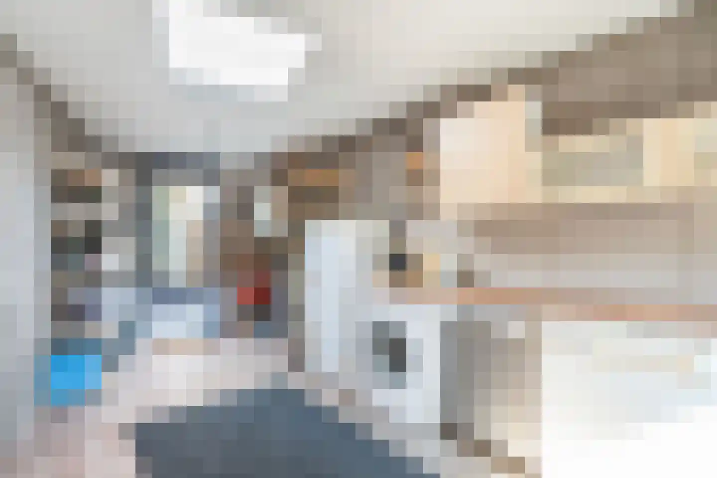Riezegraaf 22 Ulft thumbnail 29