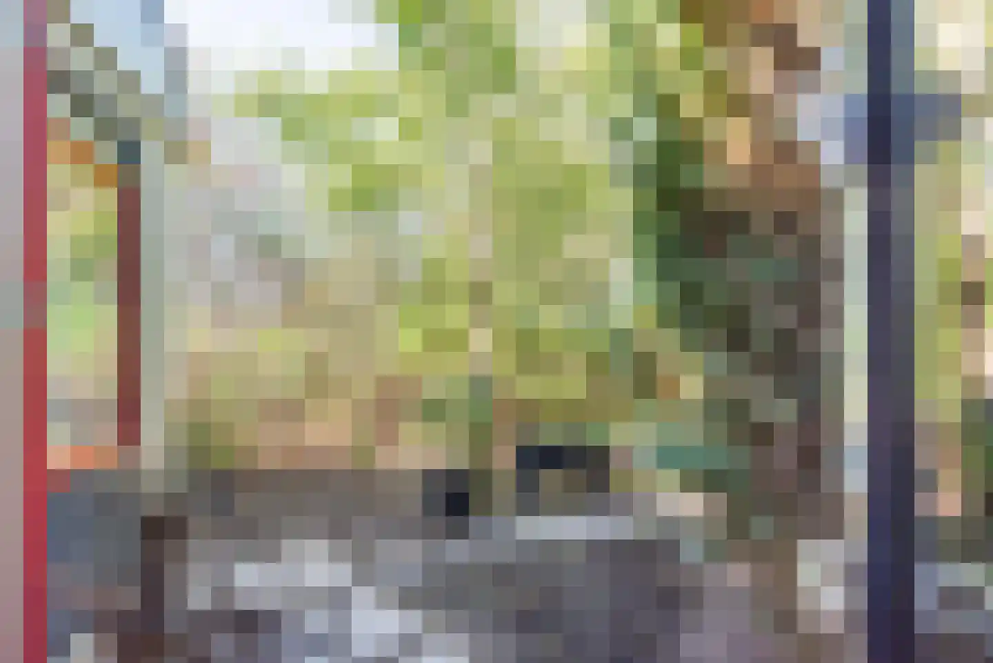 Riezegraaf 22 Ulft thumbnail 30