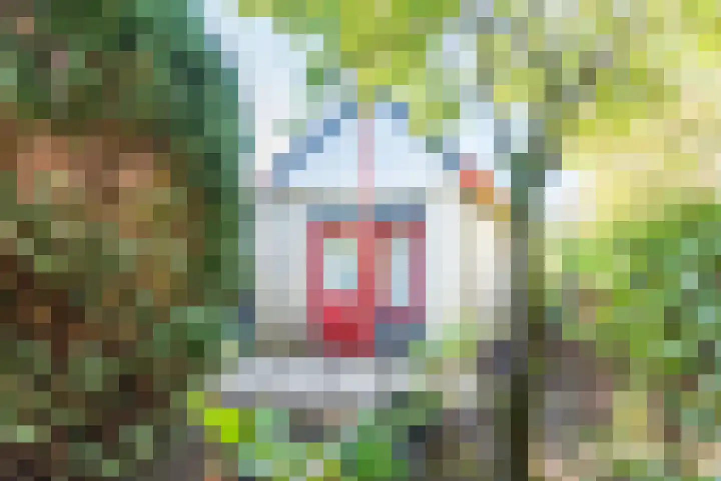 Riezegraaf 22 Ulft thumbnail 31