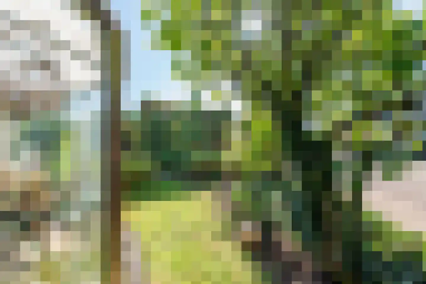 Riezegraaf 22 Ulft thumbnail 32