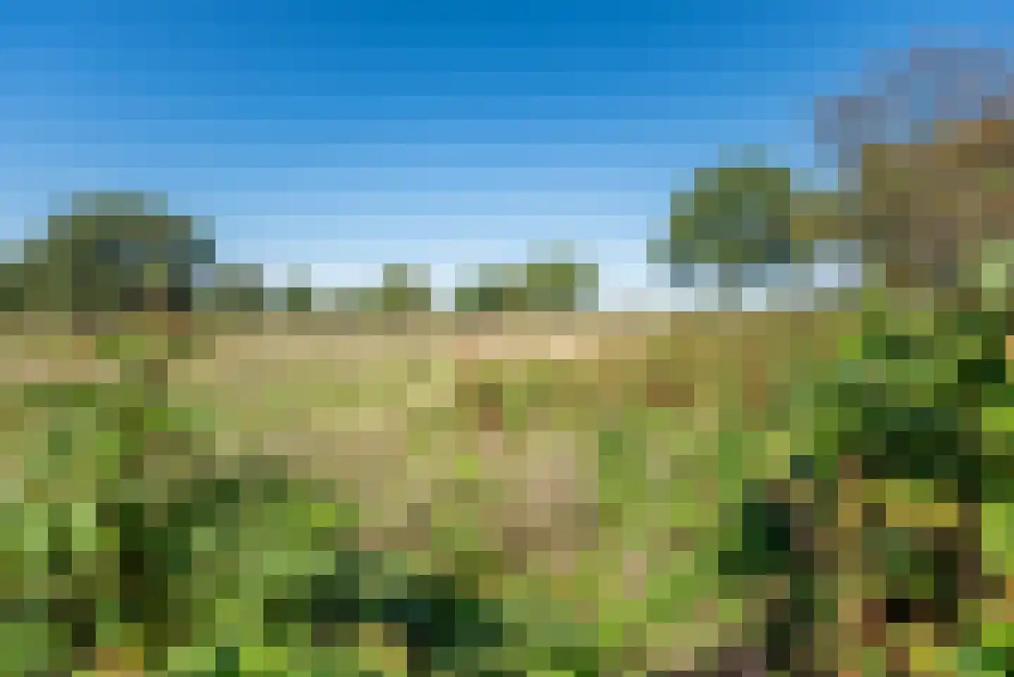 Riezegraaf 22 Ulft thumbnail 34