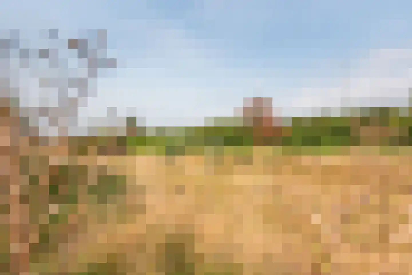 Riezegraaf 22 Ulft thumbnail 35