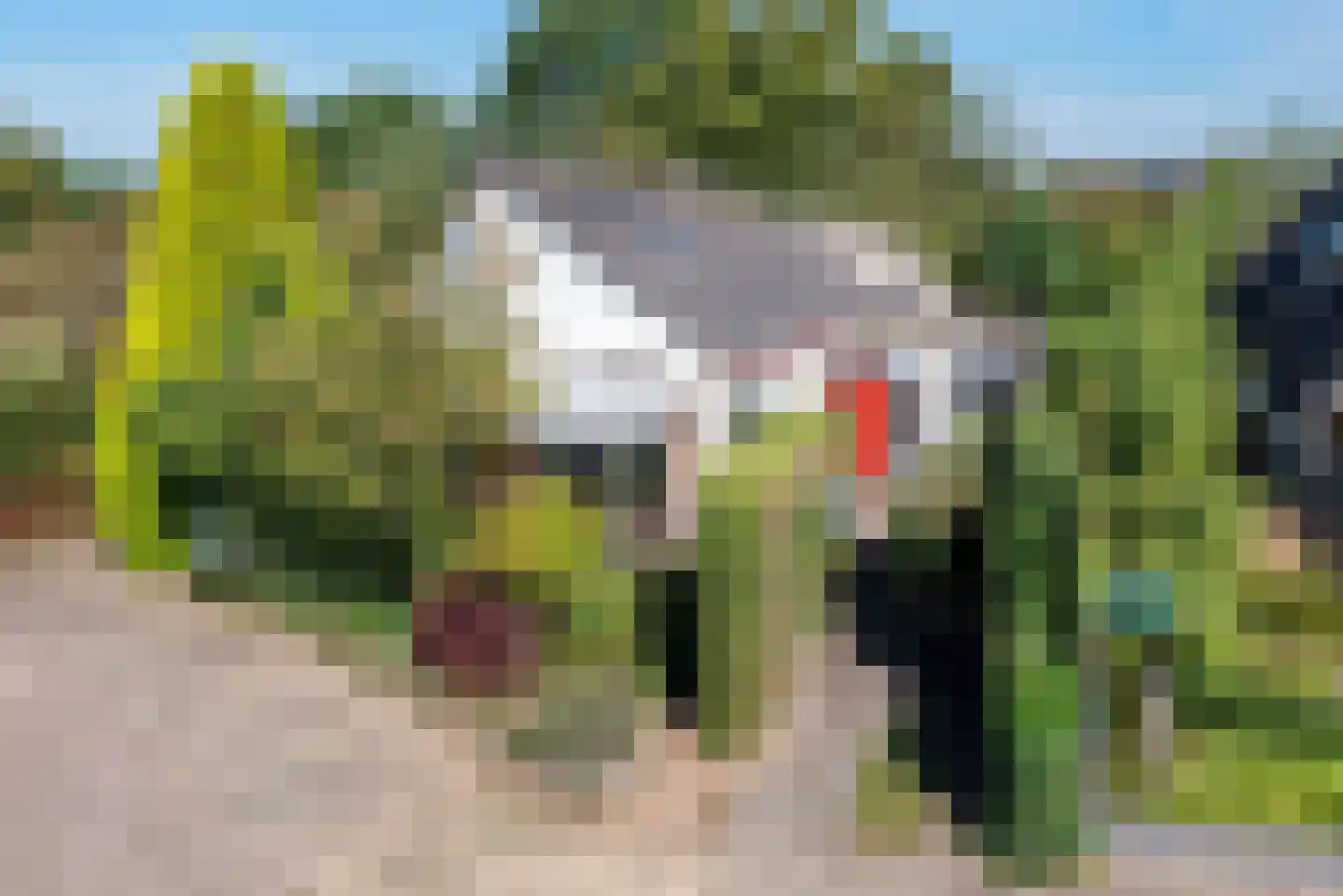 Riezegraaf 22 Ulft thumbnail 5